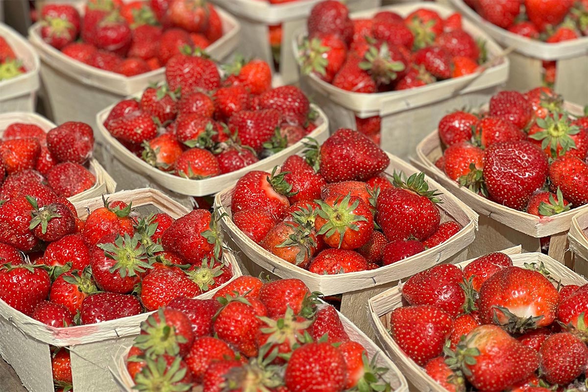 pexels-planka-25695938_H